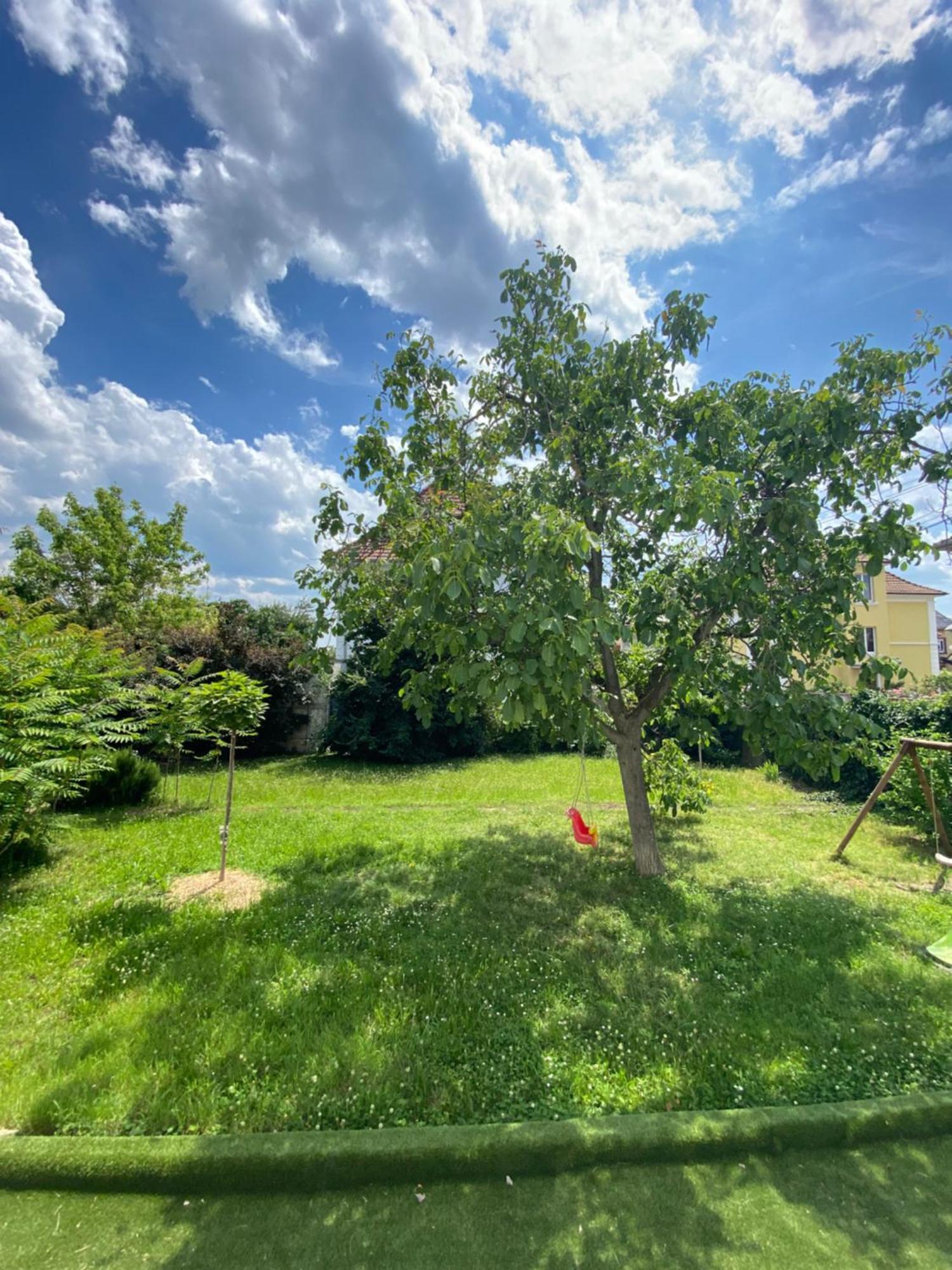 Vakantiehuis Bookingalsace - Maison Mittelharth Parking Jardin *