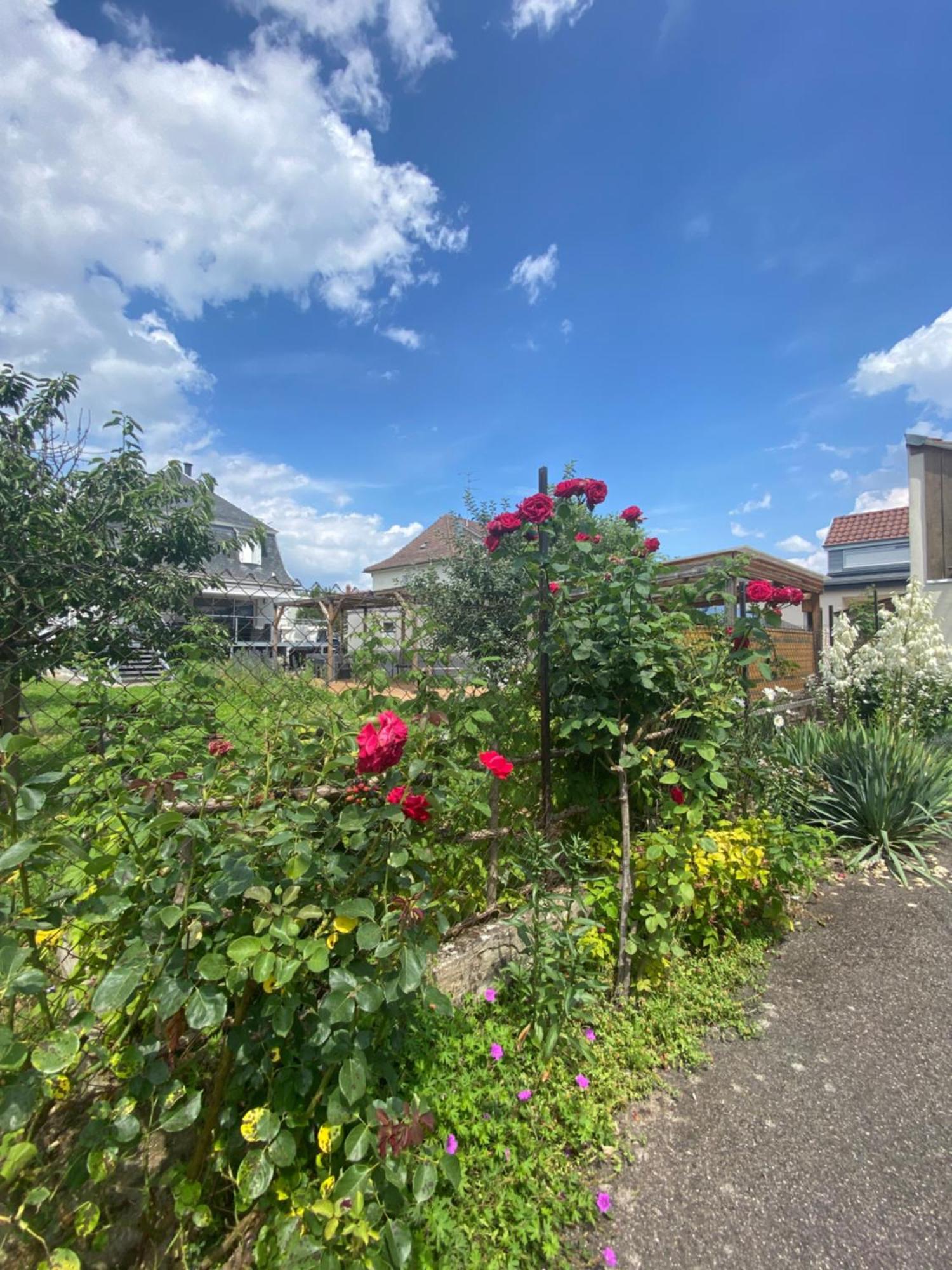Bookingalsace - Maison Mittelharth Parking Jardin Vakantiehuis Colmar